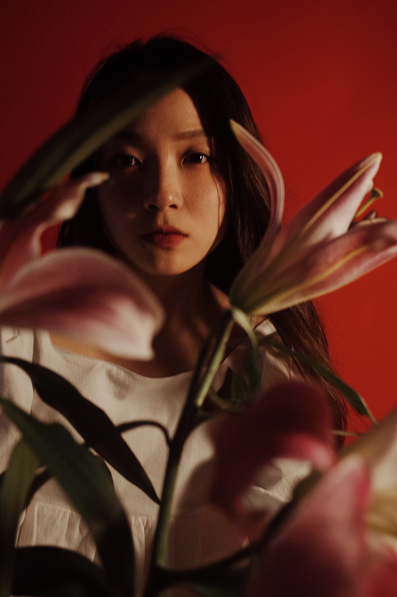 红 百合（图ZMjU3NzMxODQ4） - 人像摄影 - 站酷设计师LYSDA原创素材 - 站酷ZCOOL