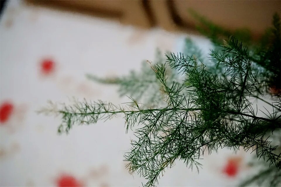 昨天拍的,索尼a5000