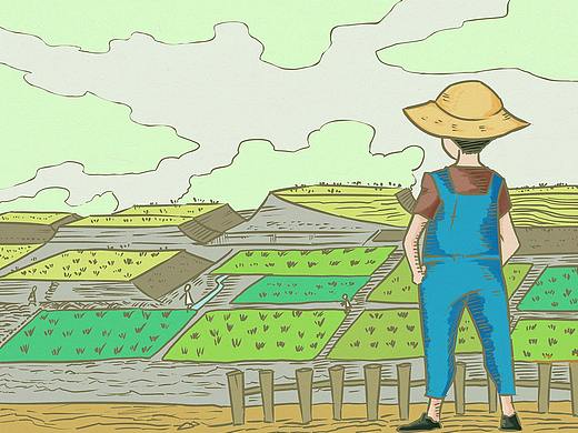 商业插画-宣传漫画-包装设计-程序员农场包装设计