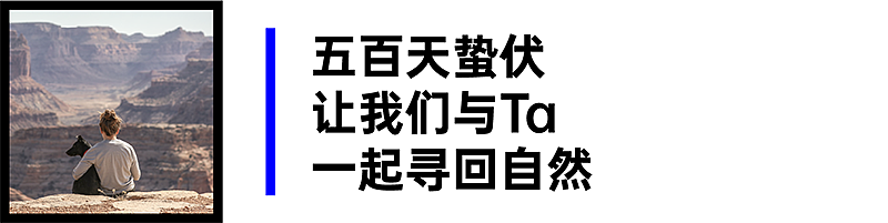 肆脚行星 x inDare | 宠物揣手包产品创意设计