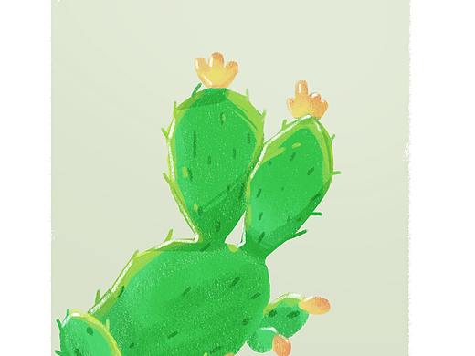 cactus——仙人掌