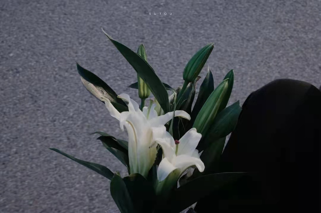 hike黎的個人主頁（背景預覽） - 主頁背景設置 - 站酷設計師hike黎原創(chuàng)素材 - 站酷ZCOOL