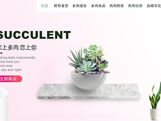 多肉网页