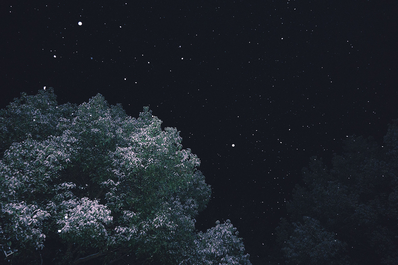 雪夜（图ZMTQ4NDExMjMy） - 风光摄影 - 站酷设计师WJennifer原创素材 - 站酷ZCOOL