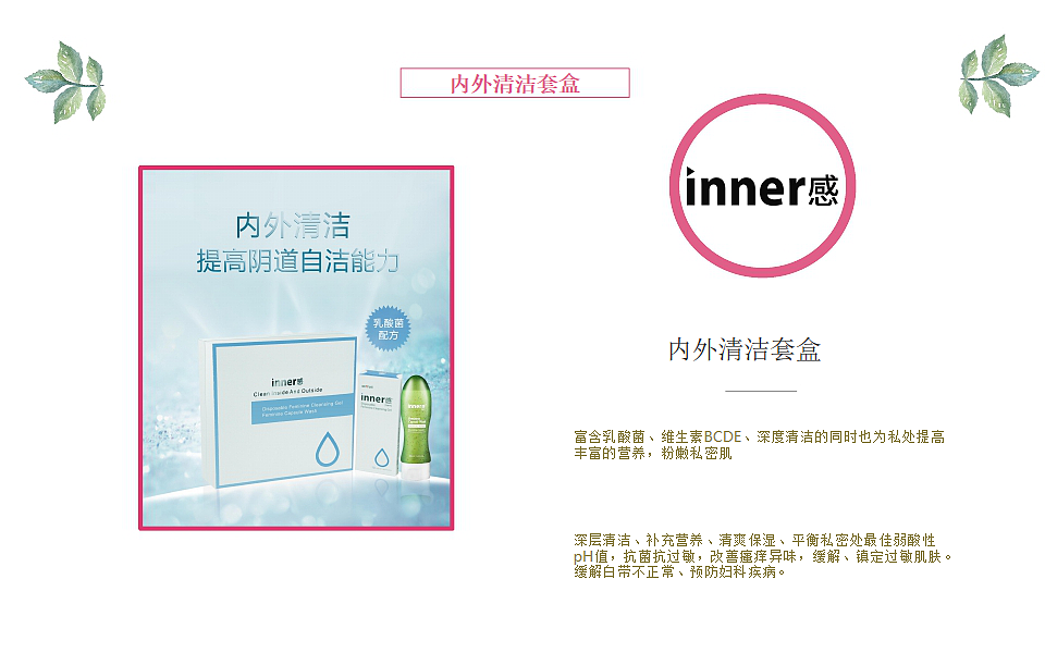 产品介绍PPT