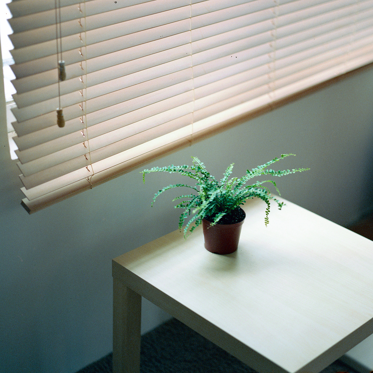 生活碎片vol.1|摄影|胶片|24_航 - 原创作品 - 站酷 (zcool)