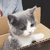 笨蛋控的头像