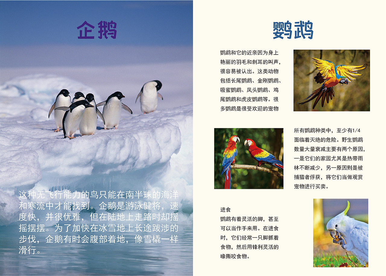 个人练习作品集（图ZMjgxOTQxNDky） - 海报 - 站酷设计师丝安三原创素材 - 站酷ZCOOL