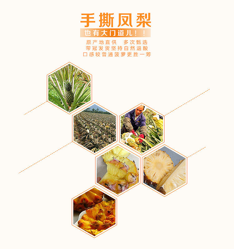 海南手撕凤梨详情页设计+牛奶木瓜海报（图ZNzgzNDY1MzY=） - 电商 - 站酷设计师SugarNO1原创素材 - 站酷ZCOOL