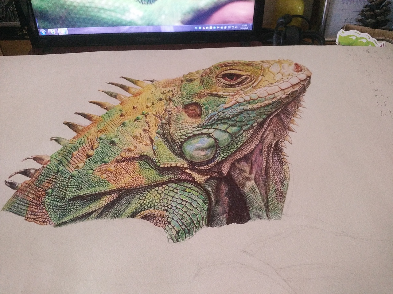#XR手绘-蜥蜴#
