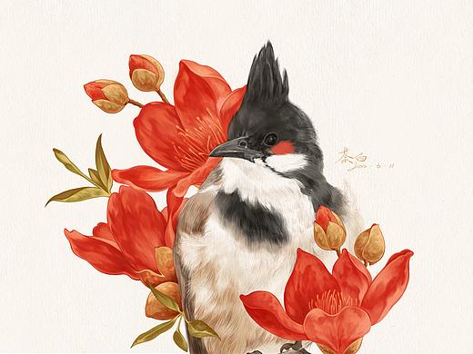 插画｜一只拥有小腮红的鸟儿