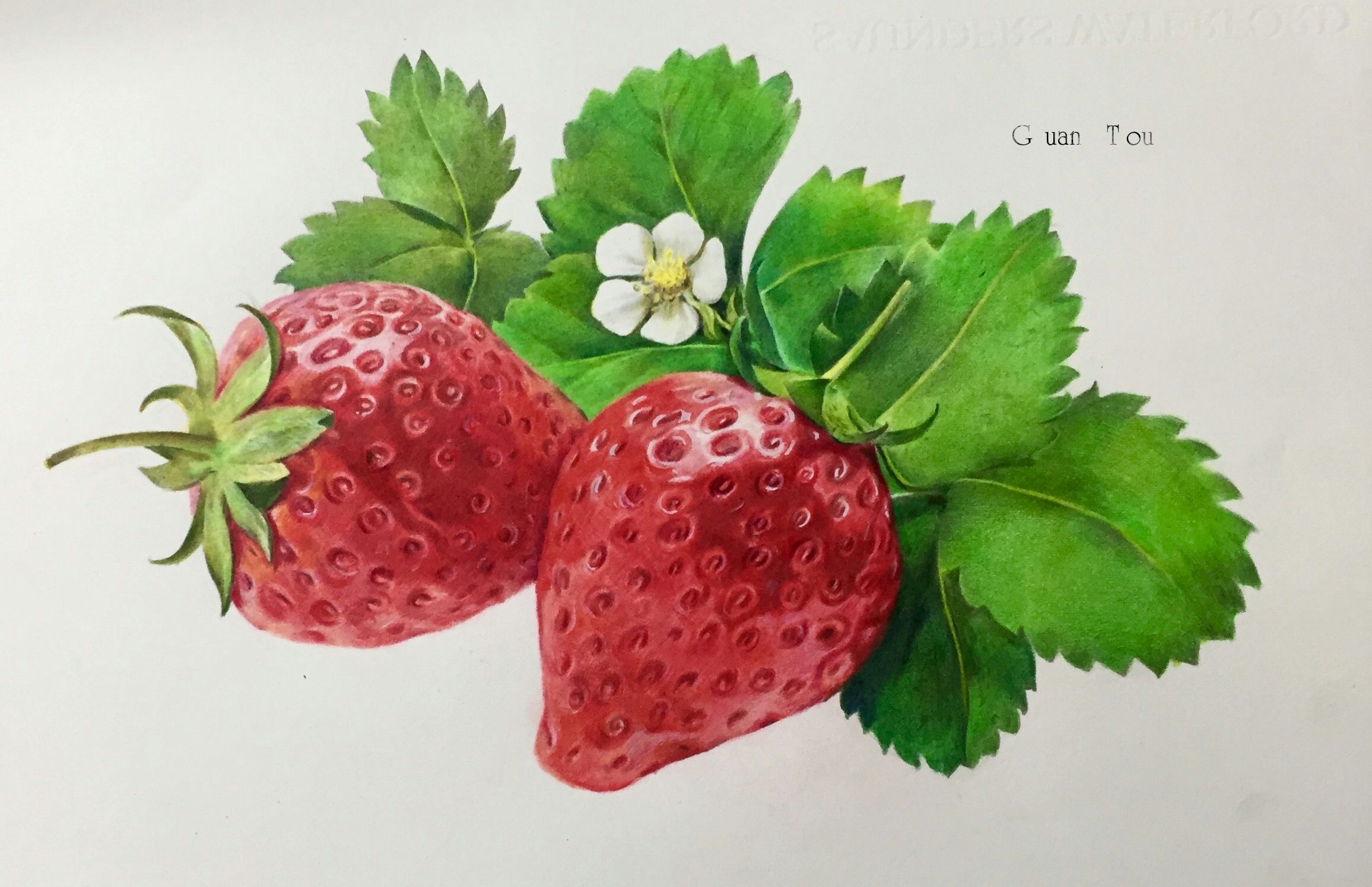 油画棒 草莓🍓|插画|儿童插画|蝉发发发 - 原创作品 - 站酷 (ZCOOL)