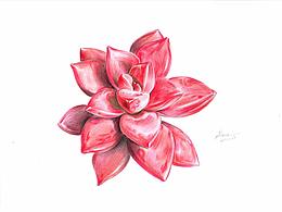 粉絲Alice彩鉛作品集2