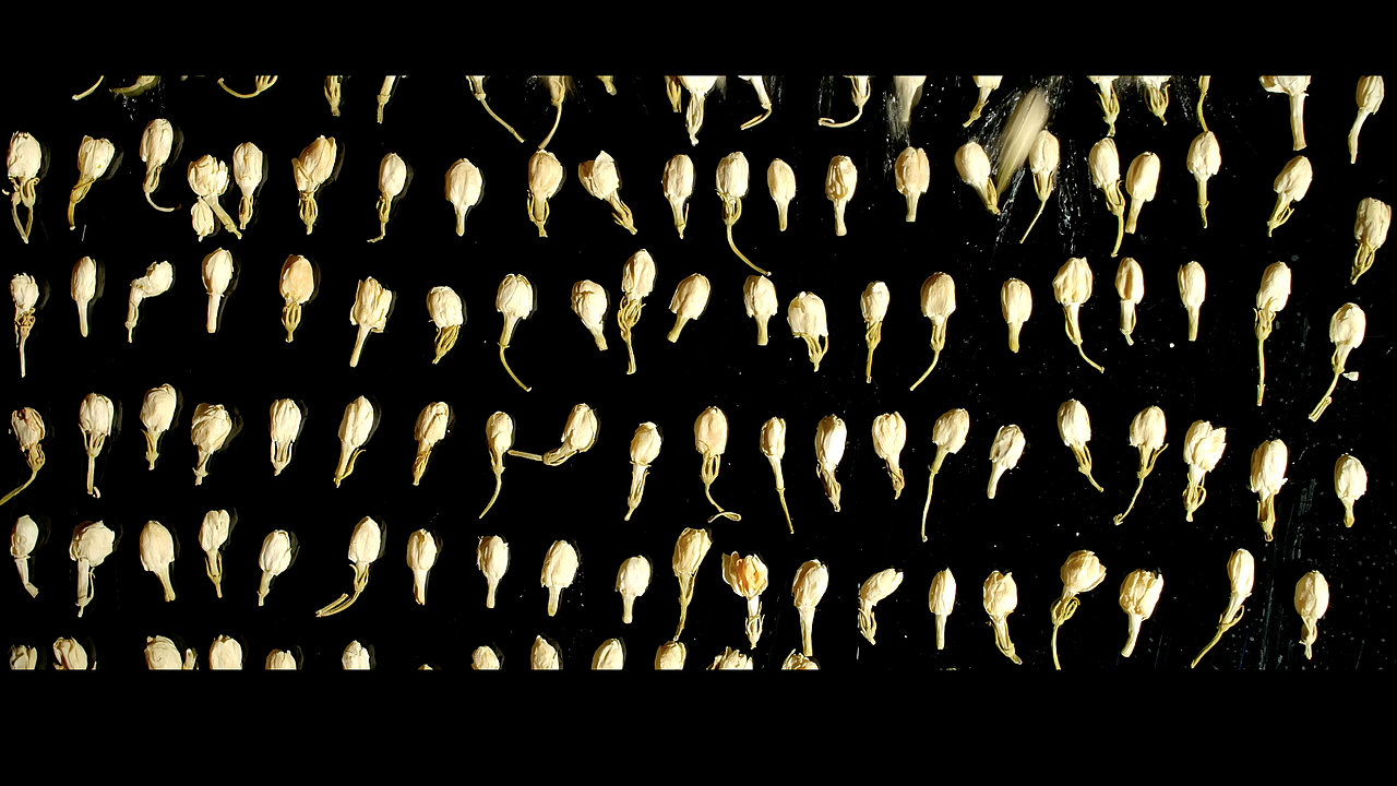 月饼食材商业拍摄广告片