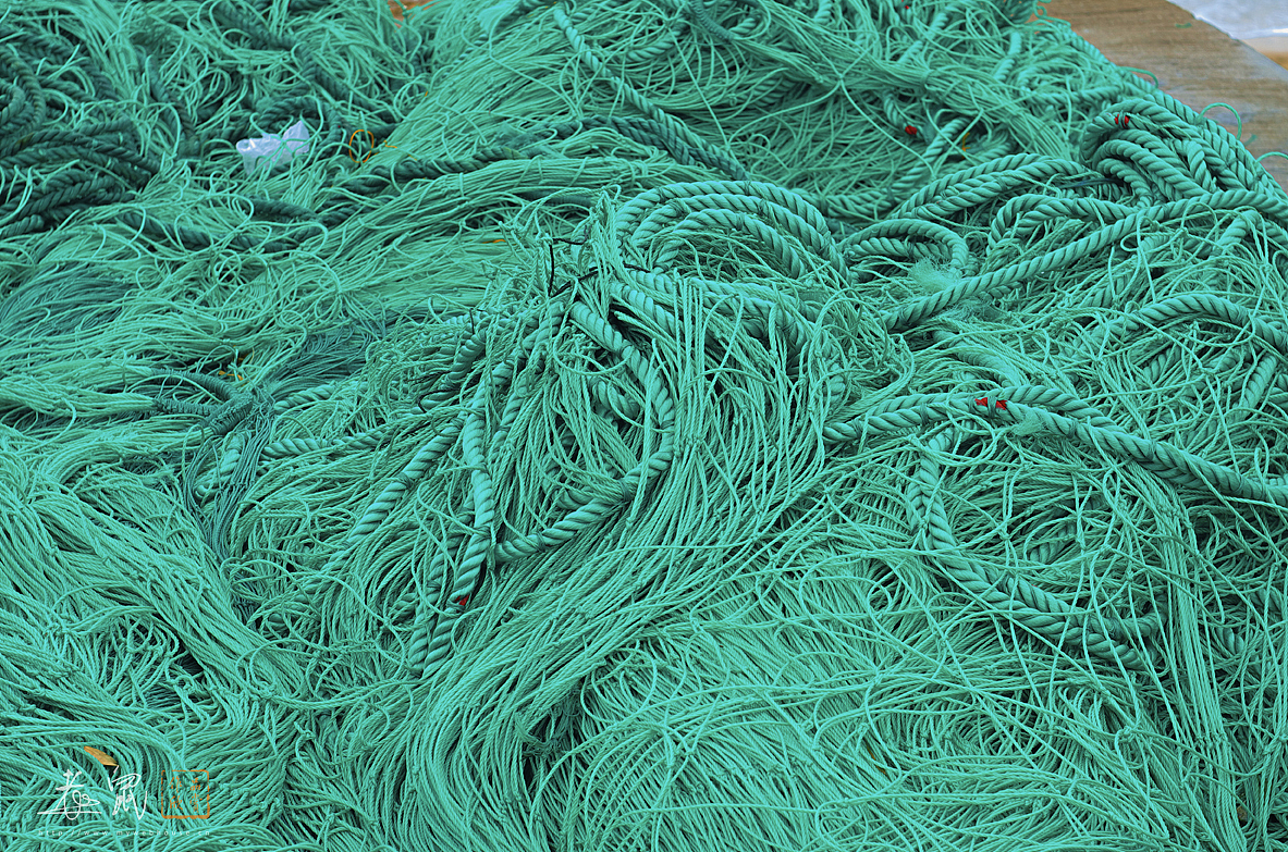 枸杞岛旅行（图ZMTA3MTcyMjg=） - 风光摄影 - 站酷设计师老鼠_dcy原创素材 - 站酷ZCOOL