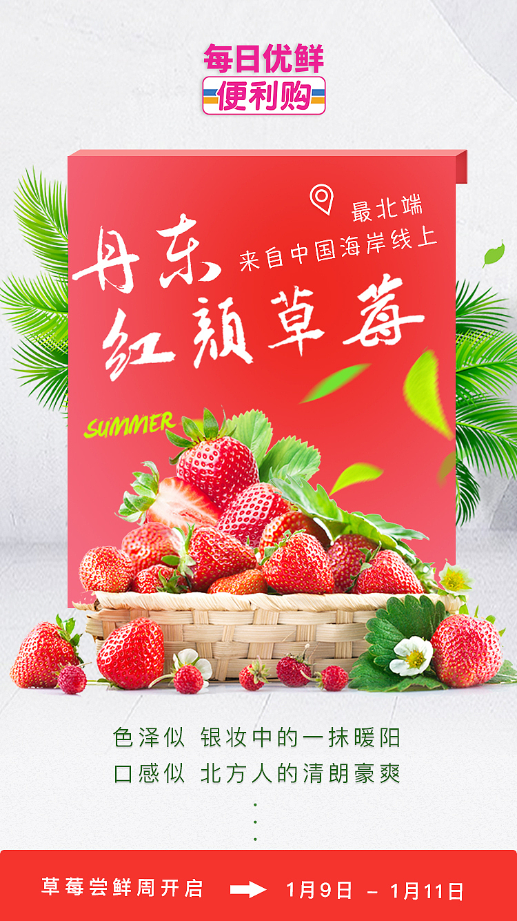 每日優(yōu)鮮（圖ZMTAzODQyMjM2） - 電商 - 站酷設(shè)計師徐大帆原創(chuàng)素材 - 站酷ZCOOL