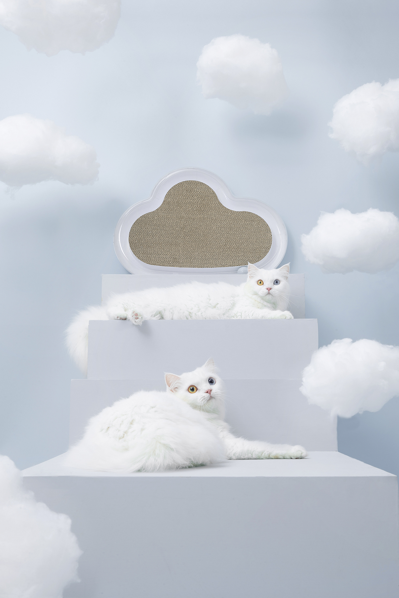【摄影】在云上养一只猫for Furrytail猫抓板(图ZMTQzMTA5MDcy) - 产品摄影 - 站酷设计师阿娇己原创素材 - 站酷ZCOOL