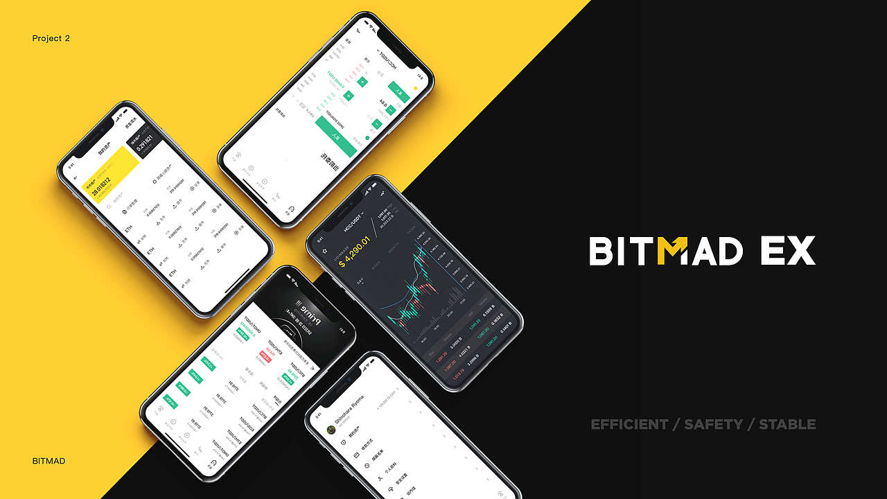 BitMad EX