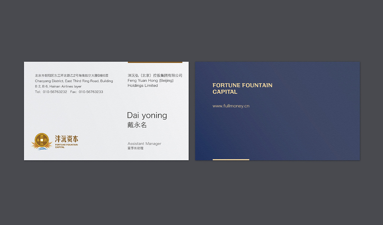 沣沅弘金融集团:各子母公司标志及vi设计 3个品牌