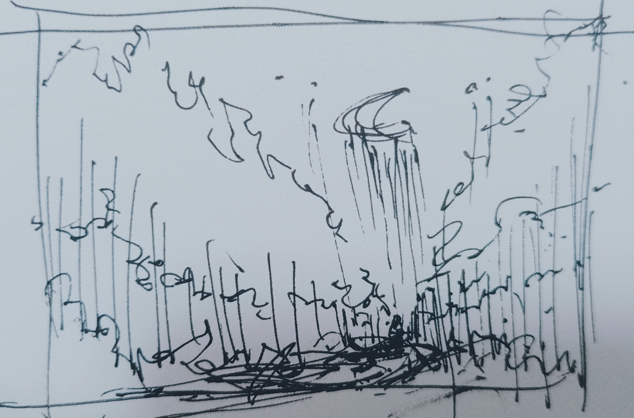 看!星星掉在了地上!