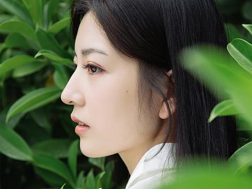 曾经羡慕风