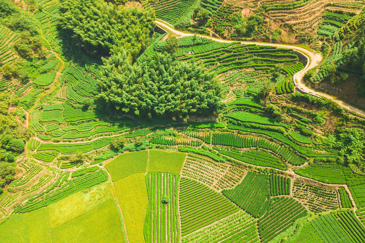 浙江遂昌梯田航拍风光摄影