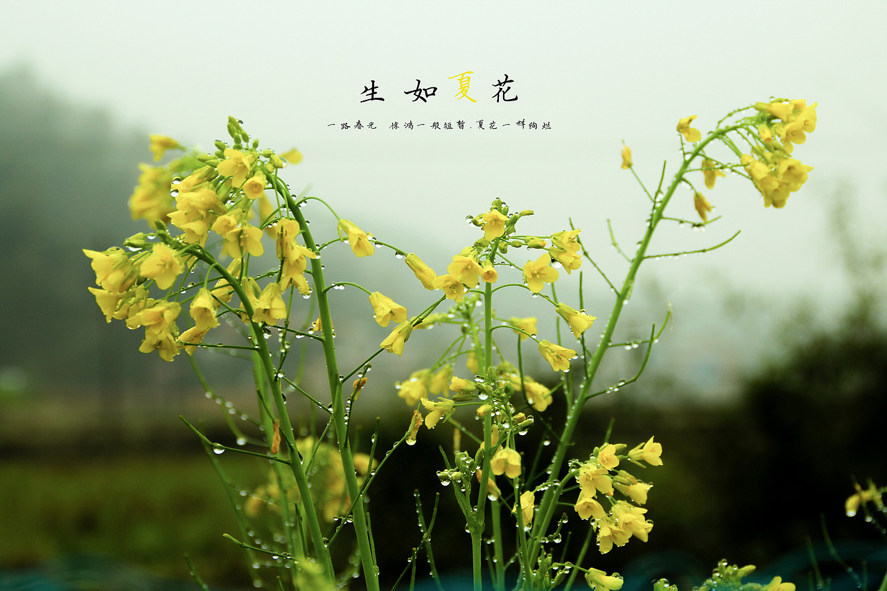 给你们（图ZMjQ5NDY0NzI=） - 产品摄影 - 站酷设计师半像素原创素材 - 站酷ZCOOL