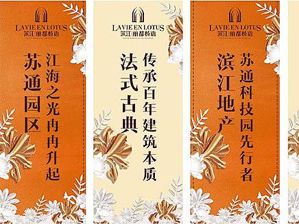 滨江丽都桥语-项目包装广告