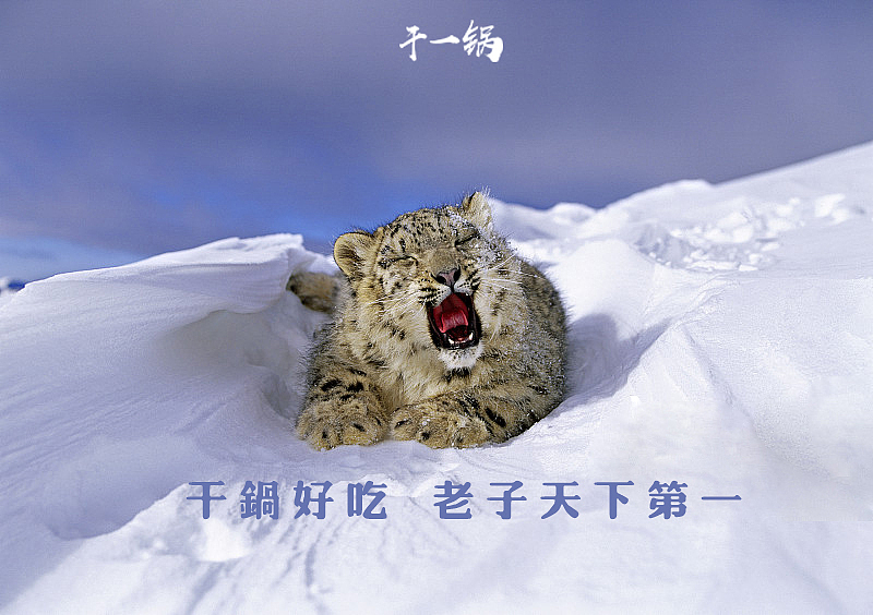 黑蚁团队—干一锅（图ZMTU2MjkwMTE2） - 品牌 - 站酷设计师黑蚁团队原创素材 - 站酷ZCOOL