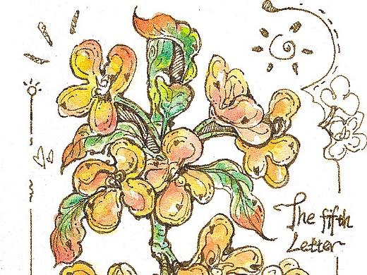 鋼筆水彩花卉（個(gè)人主頁-ZNjMyOTkwNjg=） - 創(chuàng)作習(xí)作 - 站酷設(shè)計(jì)師DEVI初心榴蓮原創(chuàng)素材 - 站酷ZCOOL