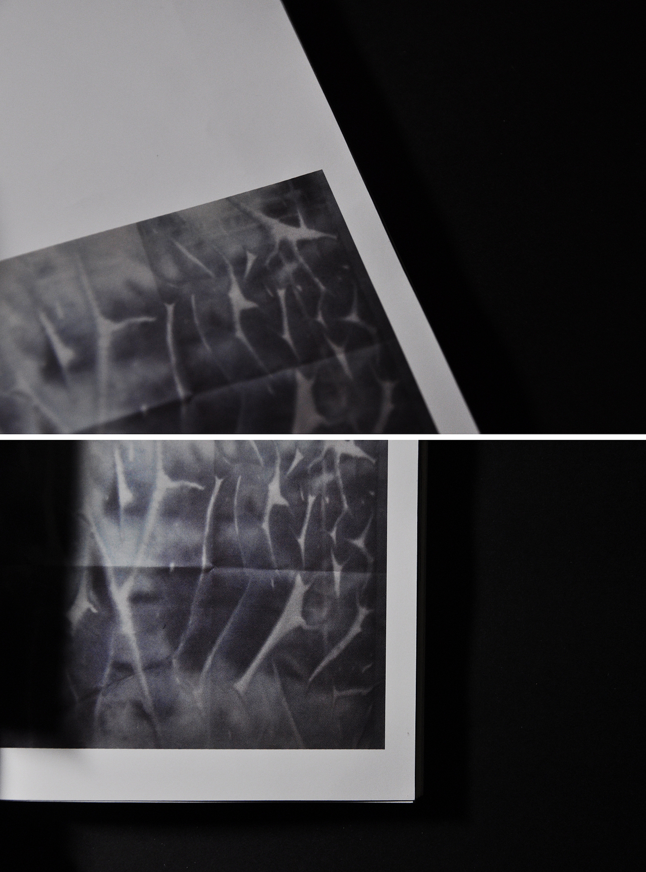 自然的痕迹 —— 迟来的毕业设计