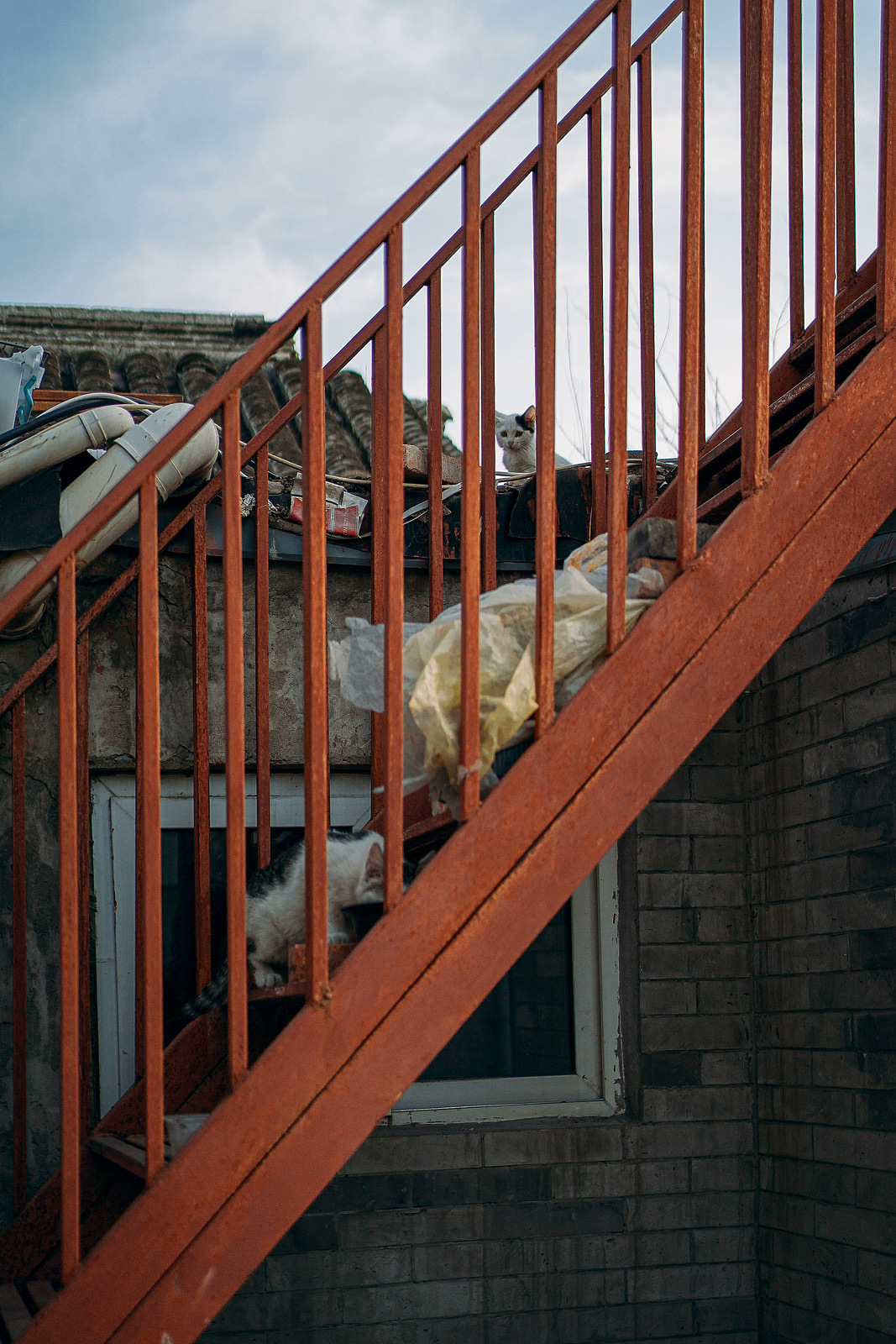 北京胡同的百姓市井生活（图ZMjExNzY0NDI4） - 人文/纪实摄影 - 站酷设计师Whoiam_an原创素材 - 站酷ZCOOL