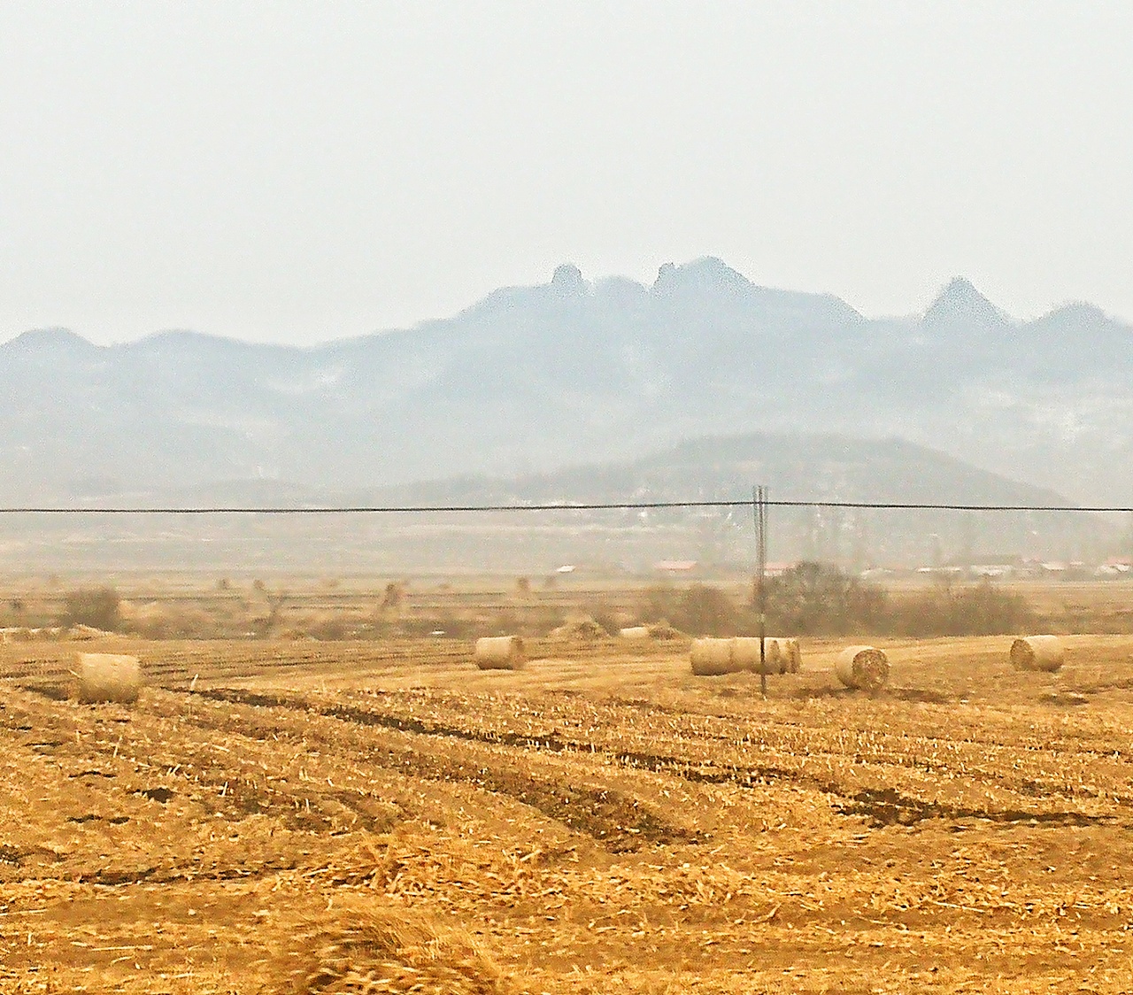 东北的冬天,没有雪
