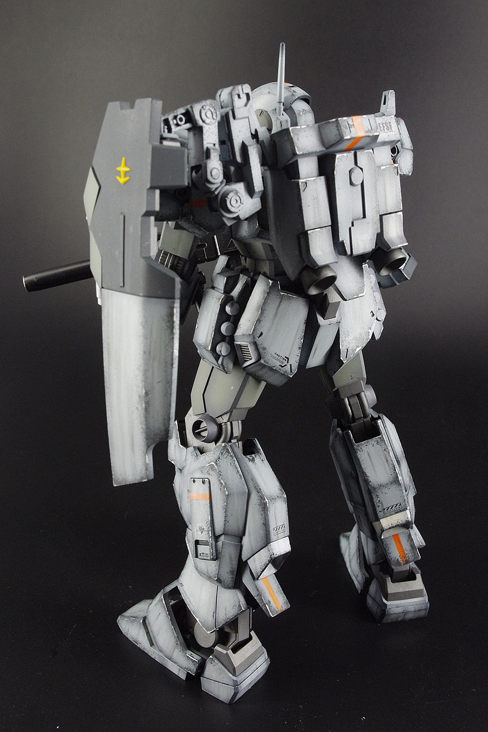 杰斯塔联邦正规涂装