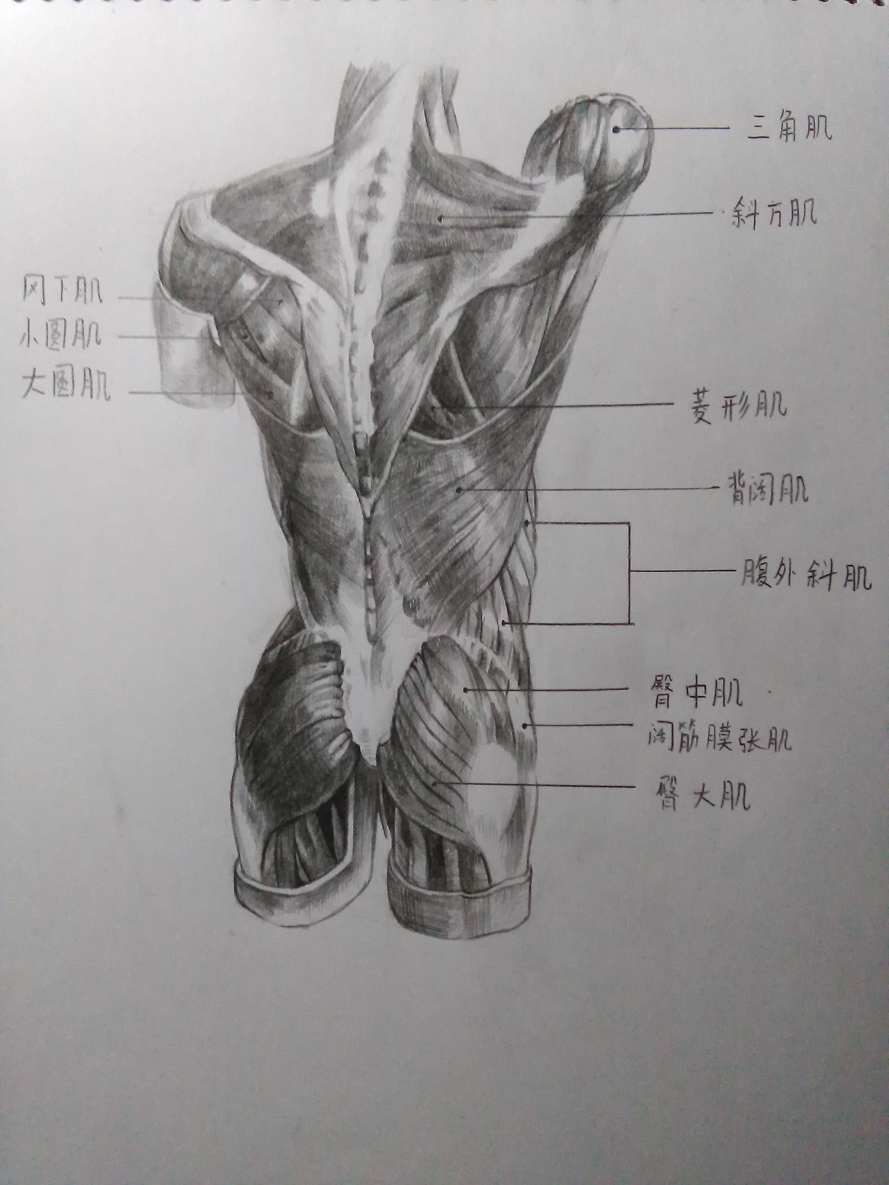 人頭插畫(huà)（圖ZMTQ0Mjk2NDQ4） - 創(chuàng)作習(xí)作 - 站酷設(shè)計(jì)師緣泣腥蠛原創(chuàng)素材 - 站酷ZCOOL
