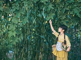 风景素材