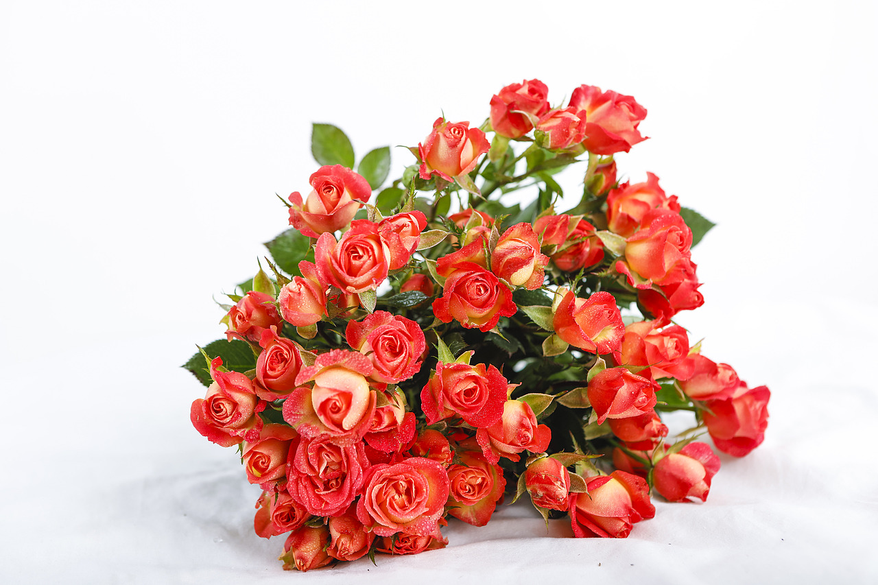 花与花,今年就是在不断的拍花