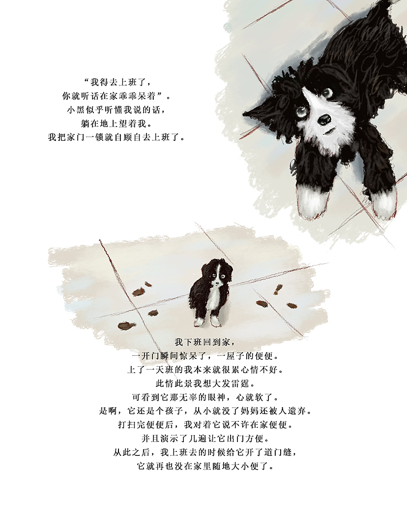 狗这一辈子