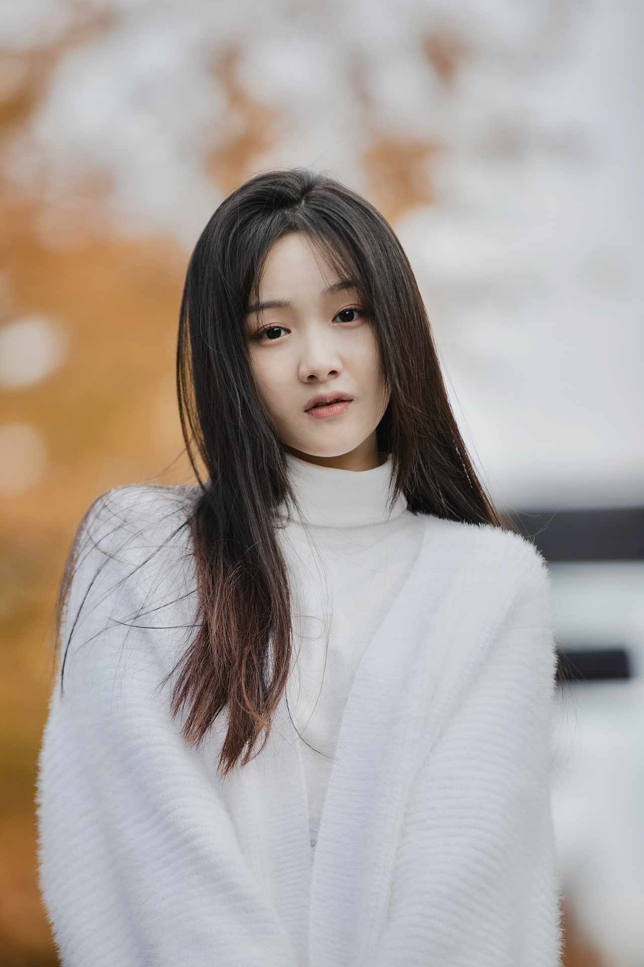 缓缓飘落的枫叶像思念93_陈溜溜_-站酷zcool