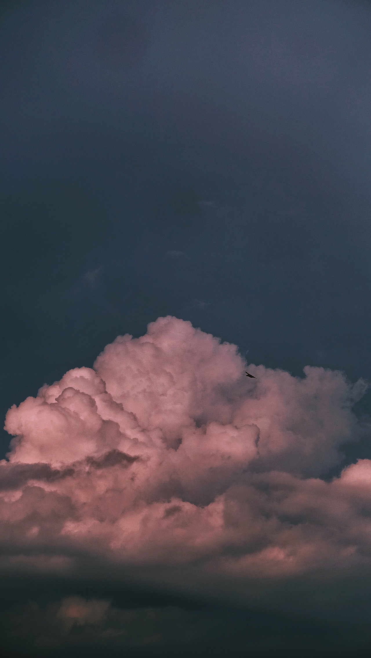 自由（圖ZMjE1OTQ5MDc2） - 風(fēng)光攝影 - 站酷設(shè)計師門泥原創(chuàng)素材 - 站酷ZCOOL