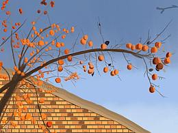 每日一畫11.25【柿子紅了】