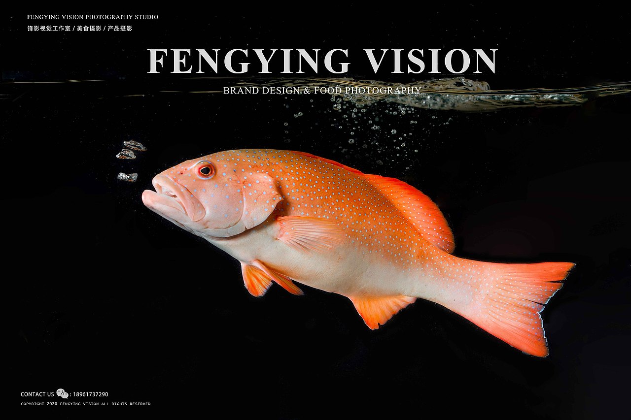 海鲜拍摄（图ZMjM2Mzk2MTM2） - 产品摄影 - 站酷设计师唐大侠_原创素材 - 站酷ZCOOL
