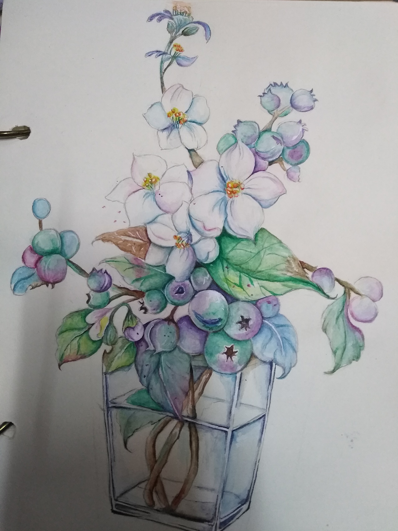 水彩系列（图ZMjM5MjA5NzU2） - 新锐潮流插画 - 站酷设计师Z80552172原创素材 - 站酷ZCOOL