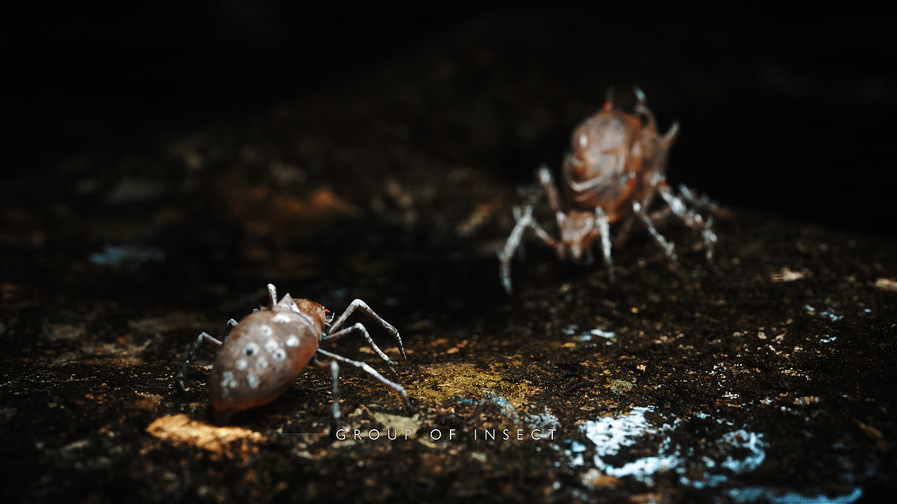 2019上半年个人创作总结