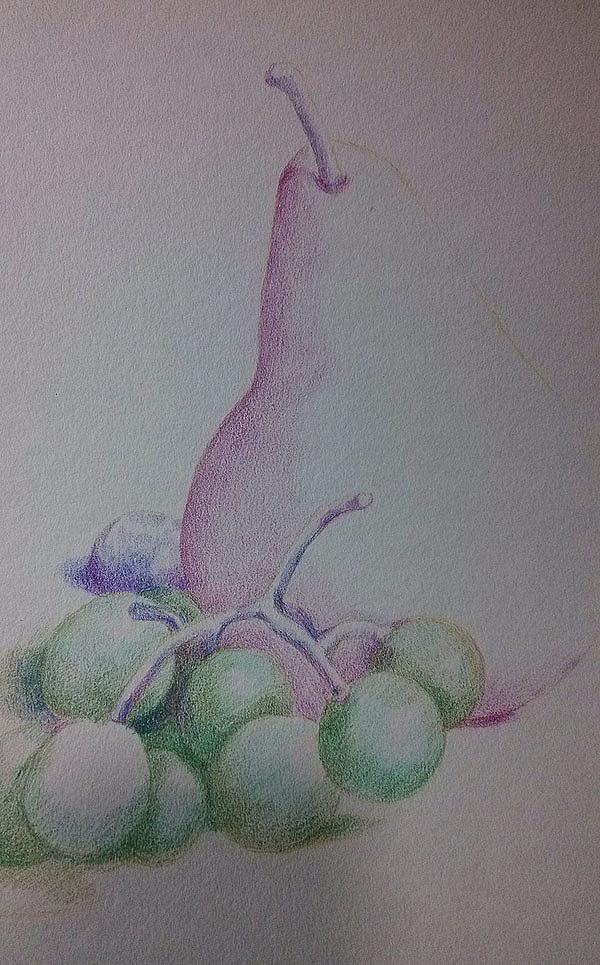 第一张静物彩铅的心得