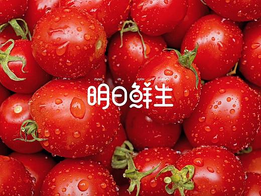 明日鲜生LOGO设计方案