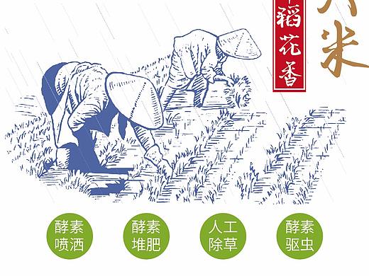 五常大米