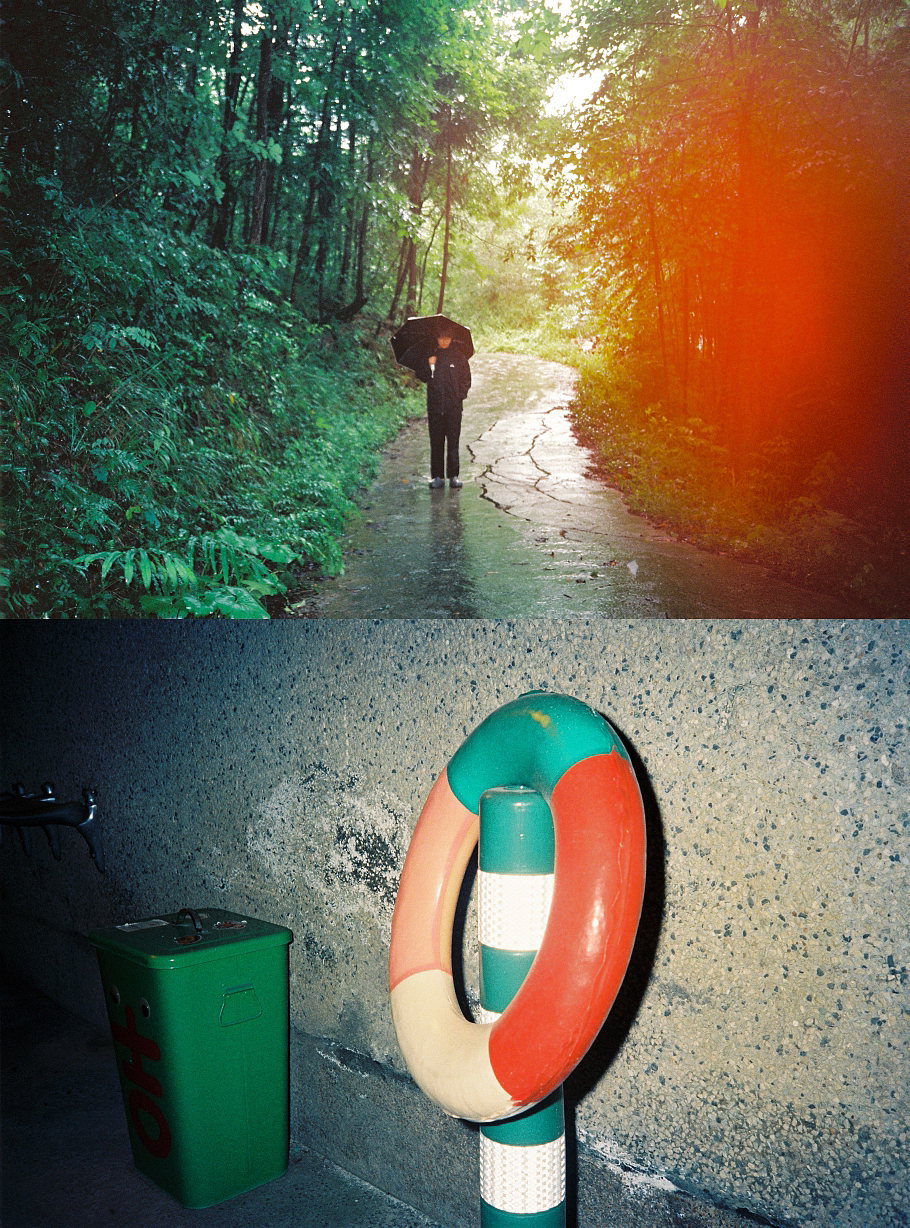 一些从冬天到夏天的胶片