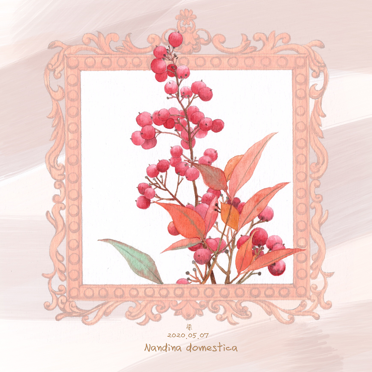 《绽放》，水彩花与果实。（图ZMjA5MDc4NTI0） - 绘画 - 站酷设计师燕柒7原创素材 - 站酷ZCOOL