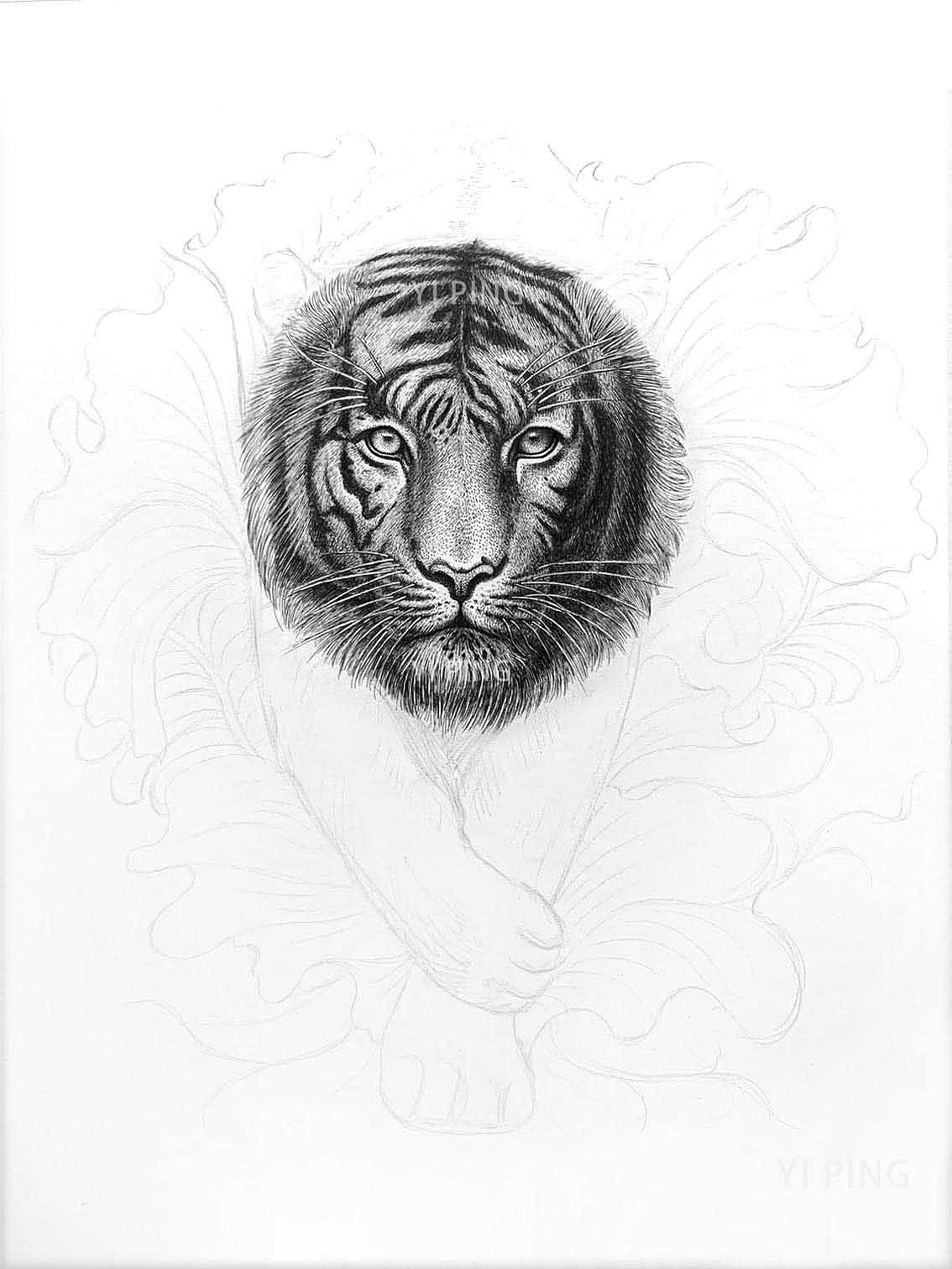 钢笔手绘 | 虎年生肖插画（图ZMjYzMzk1MzQ4） - 艺术插画 - 站酷设计师易萍Elaine原创素材 - 站酷ZCOOL